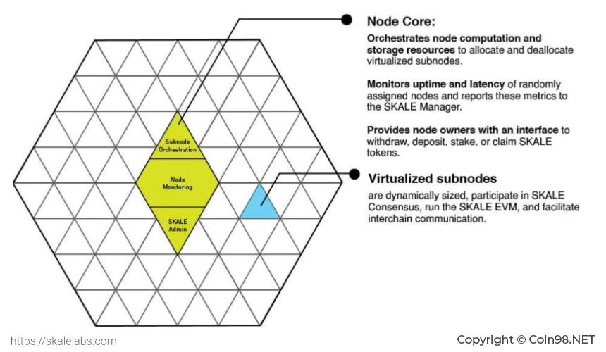 Ce este Skale Network (SKALE)?  SKALE E-Currency Complete